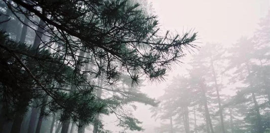 宿營遇上山魅？